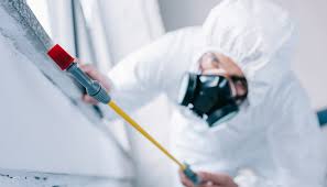 Best Fumigation Services  in Pinedale, WY